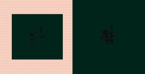 平面设计赋能品牌 Altagama意大利高级厨房设计的视觉革新与广告发布